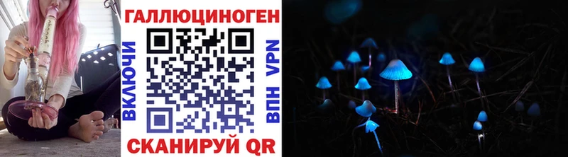 Галлюциногенные грибы Psilocybe  Октябрьский 